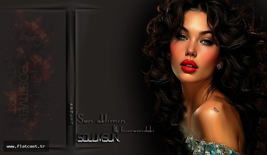 Sen aklımın..........