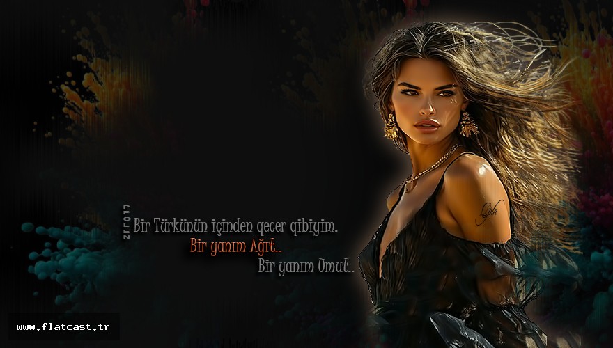 bir türkünün icinden........