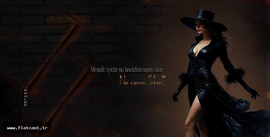 Mesafe iyidir ne haddini aşan olur..           Ne canını Sıkan!!!